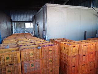 알 수 없음님의 자유주제 · 자유게시판 작성글 사진