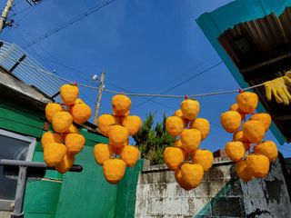 칠곡가산 최지훈님의 자유주제 · 자유게시판 작성글 사진