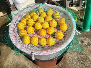 칠곡가산 최지훈님의 자유주제 · 자유게시판 작성글 사진