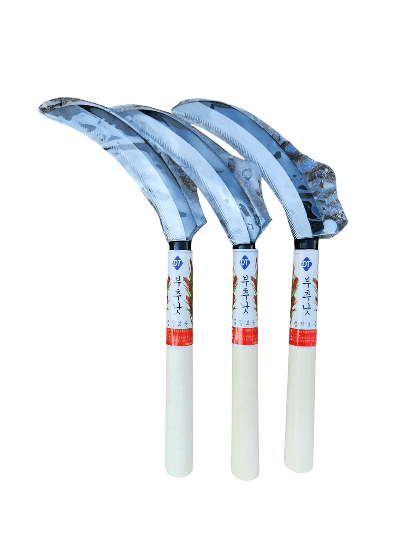 안산제일농약사님의 장터 판매 상품 [부추낫 3개] 첨부 사진