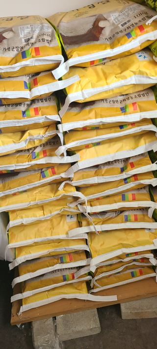 Mmebaik님의 자유주제 · 자유게시판 작성글 사진