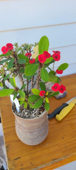 Mmebaik님의 자유주제 · 자유게시판 작성글 사진