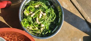 Mmebaik님의 자유주제 · 자유게시판 작성글 사진