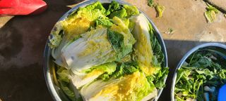 Mmebaik님의 자유주제 · 자유게시판 작성글 사진