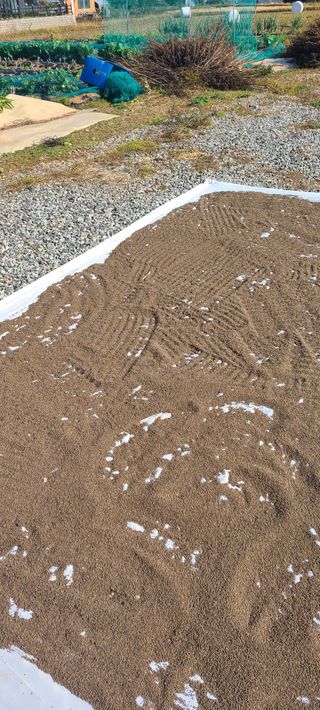 Mmebaik님의 자유주제 · 자유게시판 작성글 사진