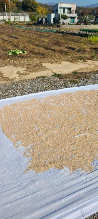 Mmebaik님의 자유주제 · 자유게시판 작성글 사진