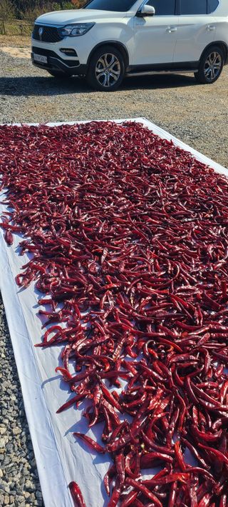 Mmebaik님의 자유주제 · 자유게시판 작성글 사진