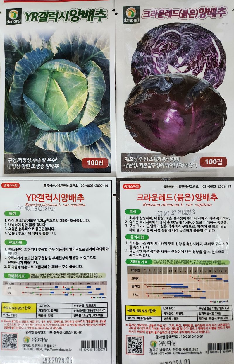 안산제일농약사님의 장터 판매 상품 [갤럭시양배추씨앗100립+크라운레드양배추씨앗100립 25년] 첨부 사진