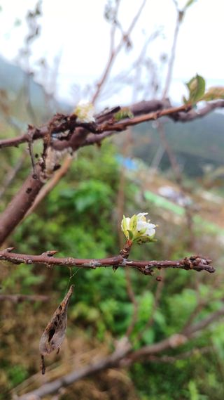 산골촌부님의 자유주제 · 자유게시판 작성글 사진