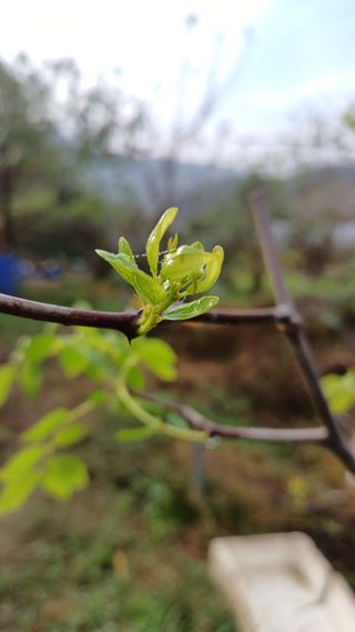 산골촌부님의 자유주제 · 자유게시판 작성글 사진
