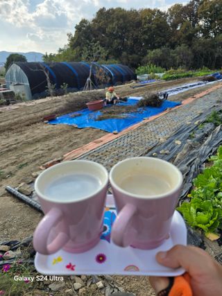 소병찬님의 11월 농사 계획 공유하기 · 참여글 작성글 사진