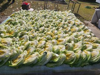 김봉욱님의 자유주제 · 사진전 작성글 사진