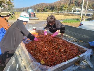 김봉욱님의 자유주제 · 사진전 작성글 사진