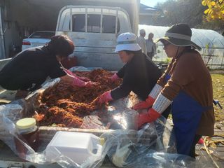 김봉욱님의 자유주제 · 사진전 작성글 사진