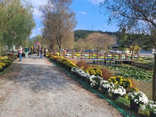 조명희님의 자유주제 · 자유게시판 작성글 사진