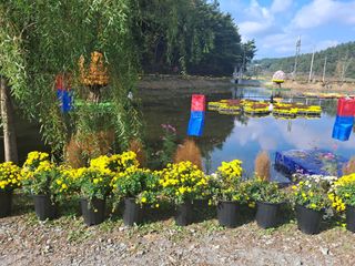 조명희님의 자유주제 · 자유게시판 작성글 사진