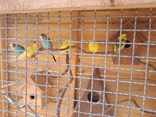 조명희님의 자유주제 · 자유게시판 작성글 사진