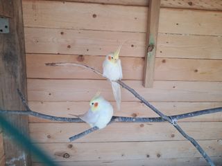 조명희님의 자유주제 · 자유게시판 작성글 사진