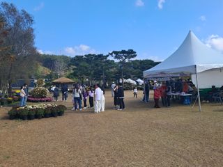 조명희님의 자유주제 · 자유게시판 작성글 사진