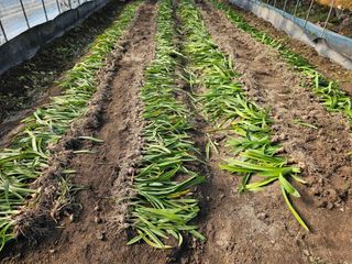 이동순님의 자유주제 · 자유게시판 작성글 사진