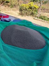 팜모닝 들깨·영농일지 게시글 이미지