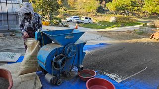 김남근님의 들깨 · 영농일지 작성글 사진