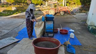김남근님의 들깨 · 영농일지 작성글 사진