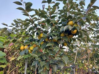 ksnam님의 요즘 즐겨보는 TV 프로그램을 알려주세요 · 참여글 작성글 사진