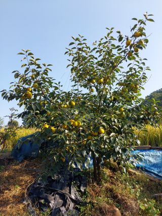 ksnam님의 요즘 즐겨보는 TV 프로그램을 알려주세요 · 참여글 작성글 사진