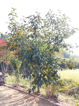 ksnam님의 요즘 즐겨보는 TV 프로그램을 알려주세요 · 참여글 작성글 사진