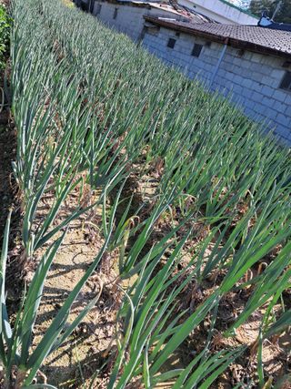 윤문옥님의 자유주제 · 자유게시판 작성글 사진