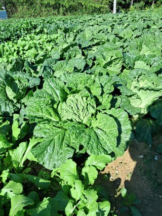 윤문옥님의 자유주제 · 자유게시판 작성글 사진