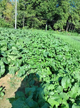 윤문옥님의 자유주제 · 자유게시판 작성글 사진