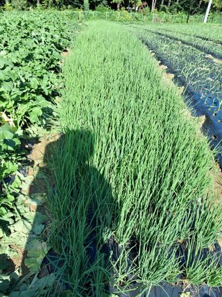 윤문옥님의 자유주제 · 자유게시판 작성글 사진