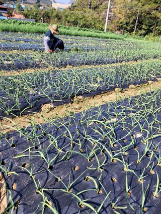 윤문옥님의 자유주제 · 자유게시판 작성글 사진