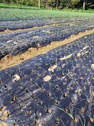 윤문옥님의 자유주제 · 자유게시판 작성글 사진