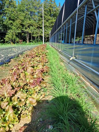 윤문옥님의 자유주제 · 자유게시판 작성글 사진