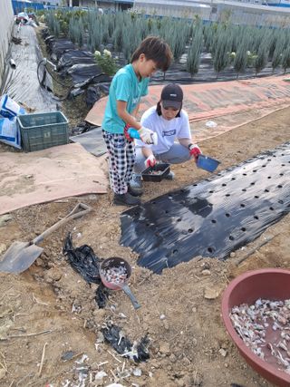 전희분님의 자유주제 · 자유게시판 작성글 사진