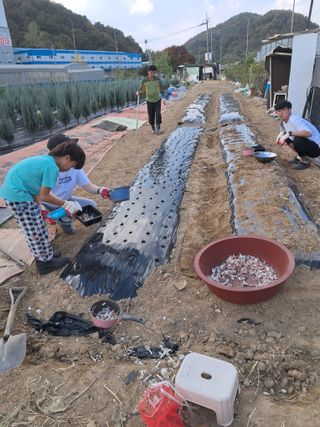 전희분님의 자유주제 · 자유게시판 작성글 사진