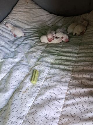 전희분님의 자유주제 · 자유게시판 작성글 사진