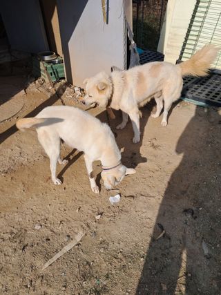 전희분님의 자유주제 · 자유게시판 작성글 사진