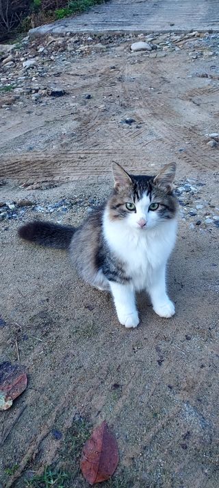 안재성님의 자유주제 · 사진전 작성글 사진