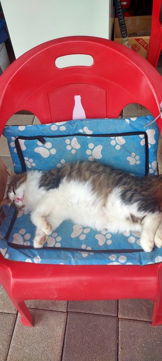 안재성님의 자유주제 · 사진전 작성글 사진