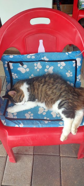 안재성님의 자유주제 · 사진전 작성글 사진