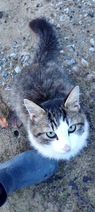 안재성님의 자유주제 · 사진전 작성글 사진