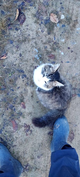 안재성님의 자유주제 · 사진전 작성글 사진