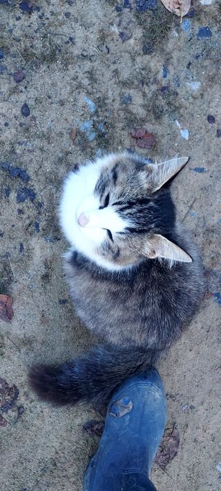 안재성님의 자유주제 · 사진전 작성글 사진