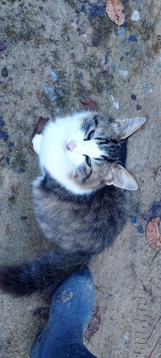 안재성님의 자유주제 · 사진전 작성글 사진