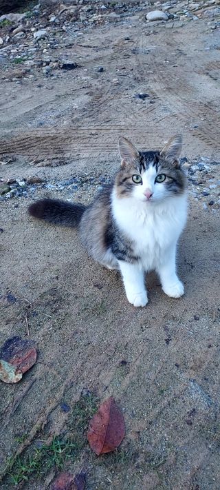 안재성님의 자유주제 · 사진전 작성글 사진