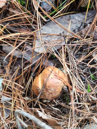 김영옥님의 자유주제 · 자유게시판 작성글 사진